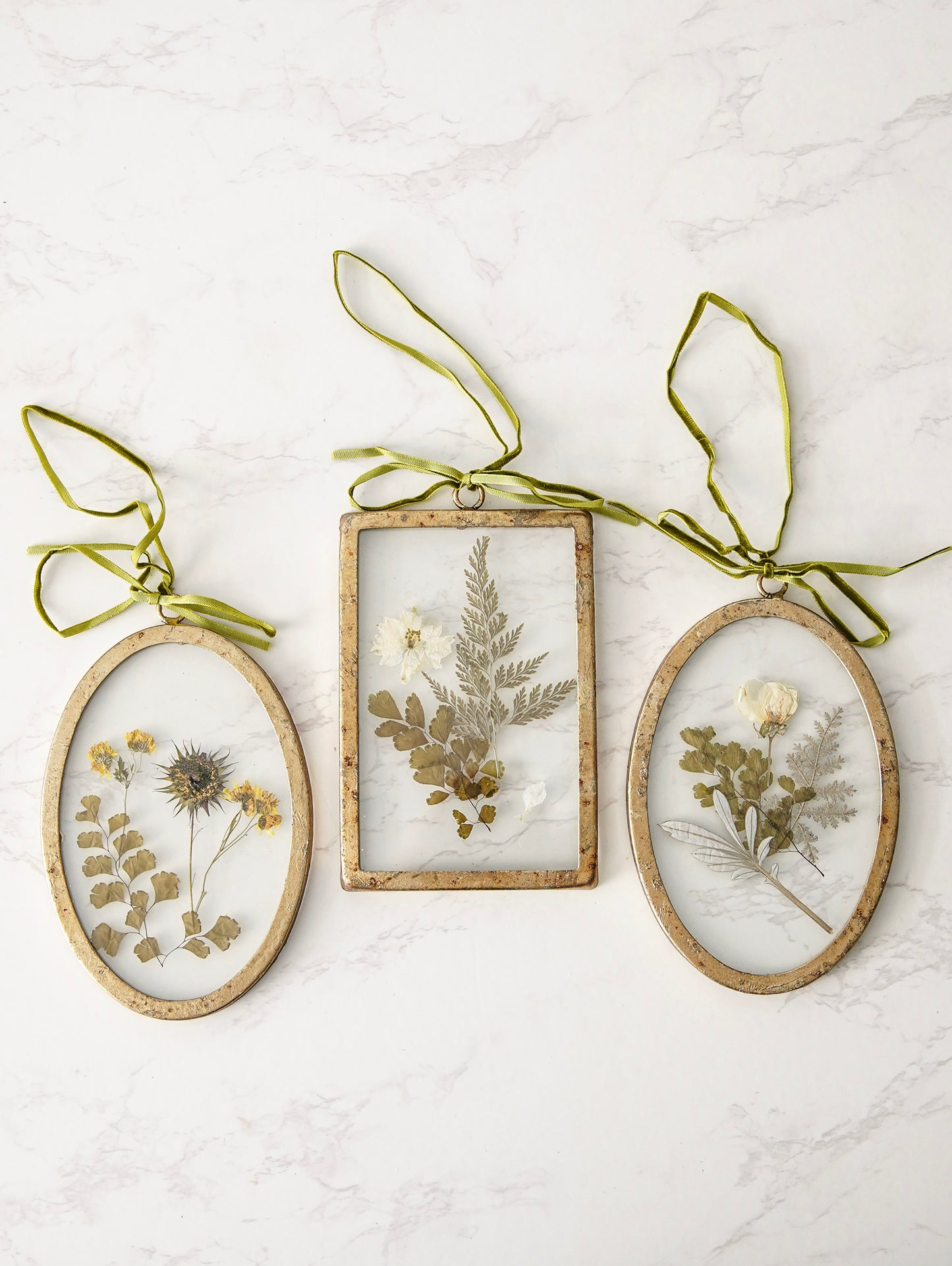 Pressed Botanical Glass Frame Set