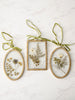 Pressed Botanical Glass Frame Set