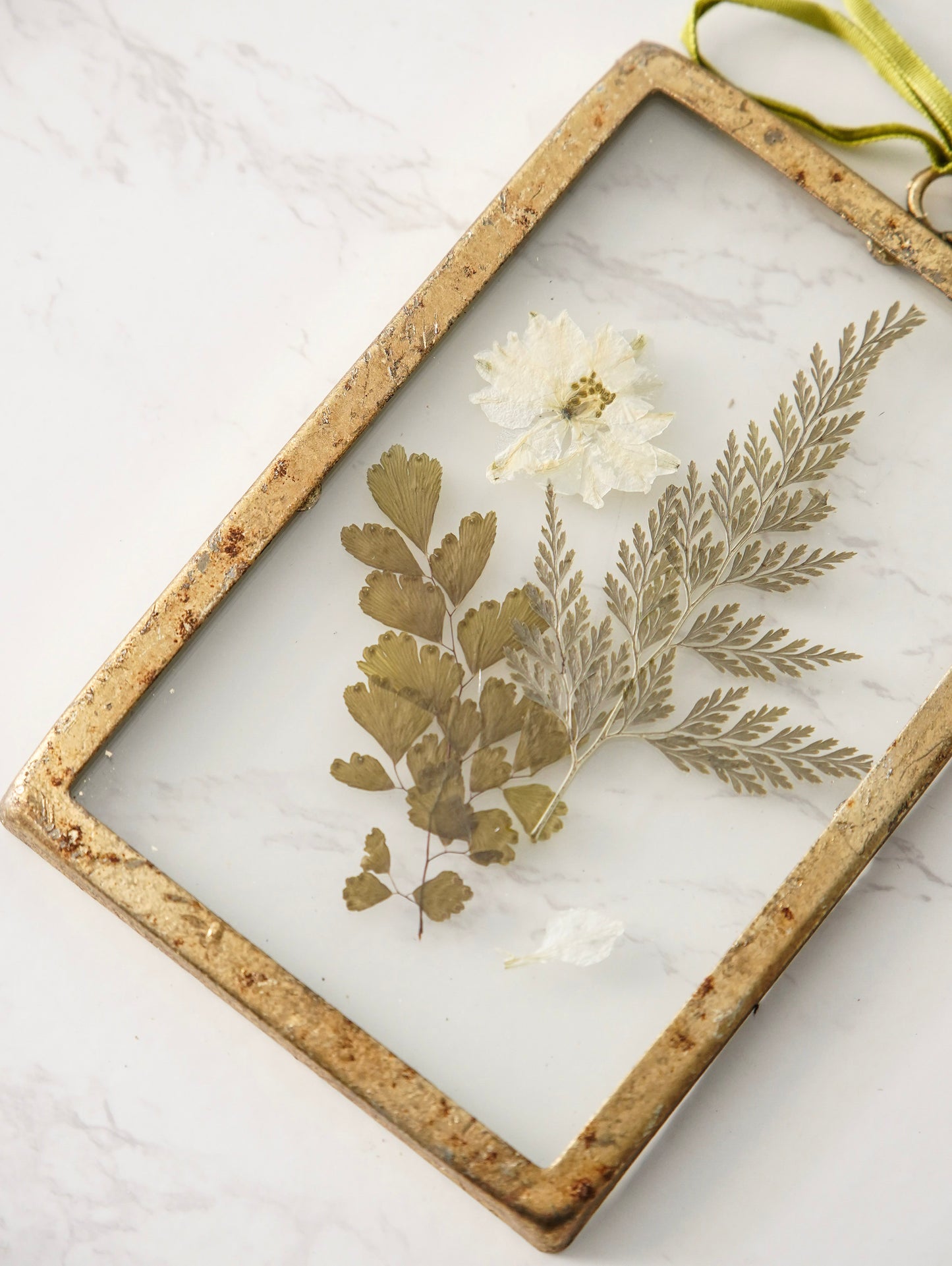Pressed Botanical Glass Frame Set