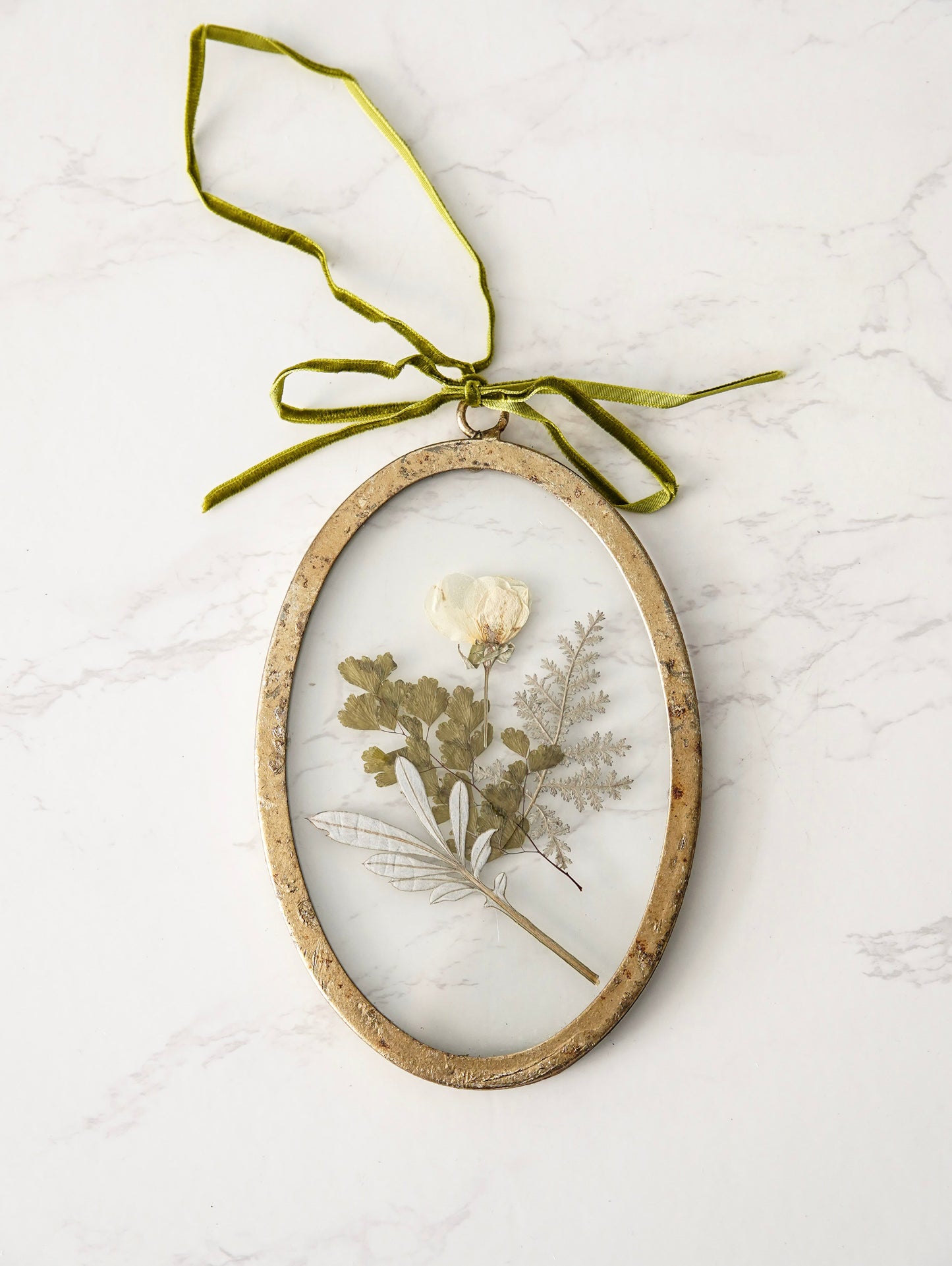 Pressed Botanical Glass Frame Set