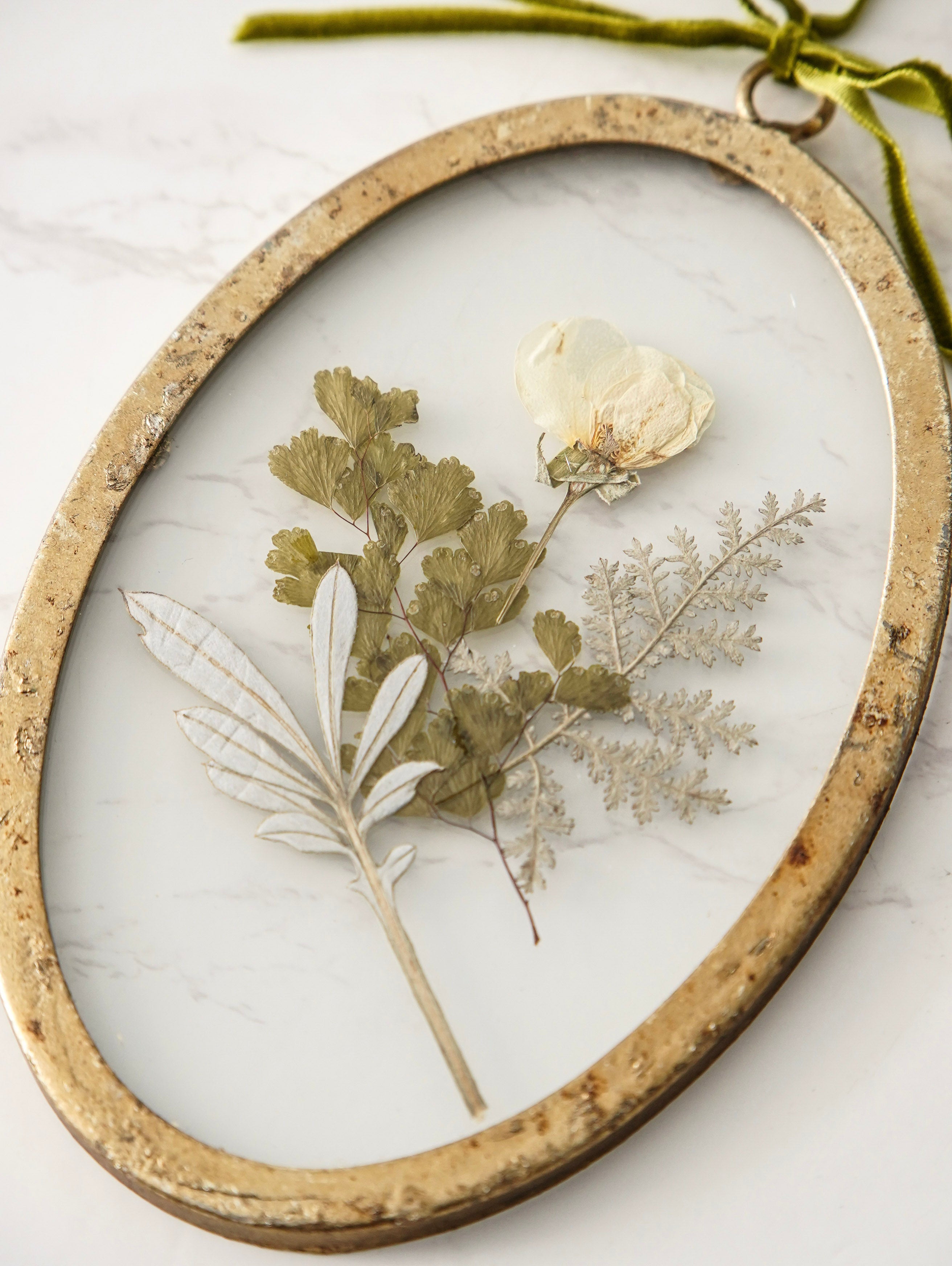 Round Pressed Botanical Glass Frame No 2