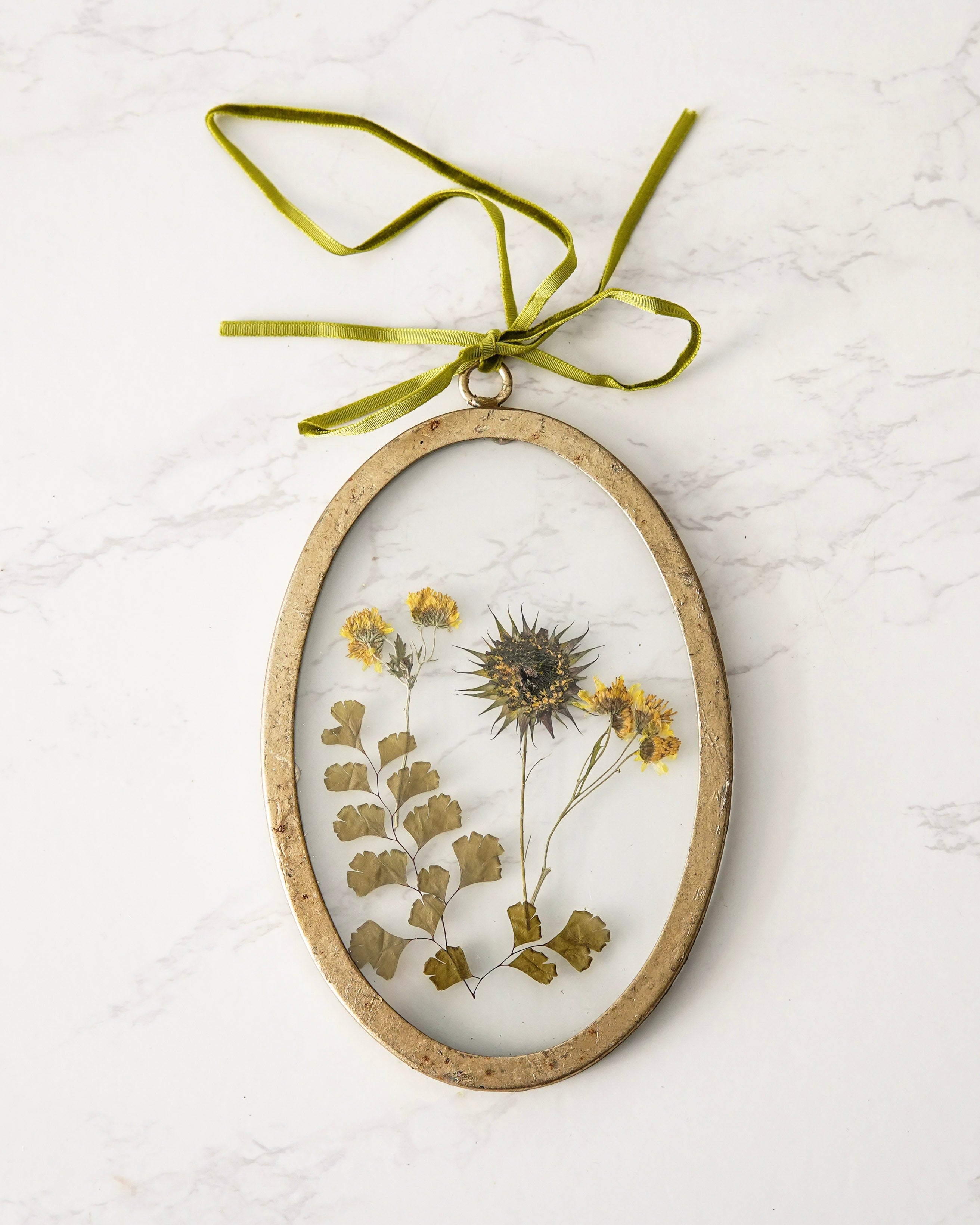 Round Pressed Botanical Glass Frame No 1
