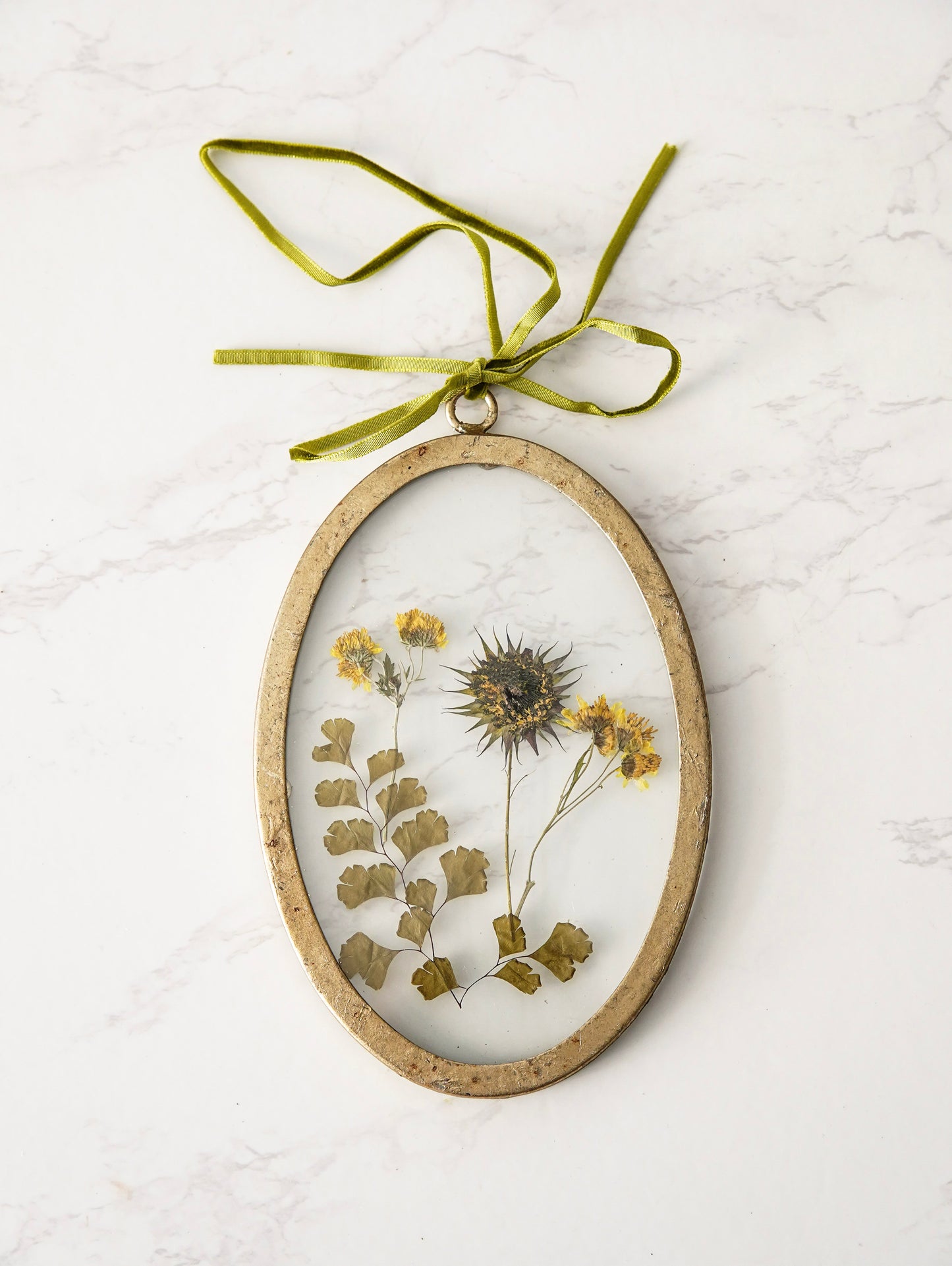 Pressed Botanical Glass Frame Set