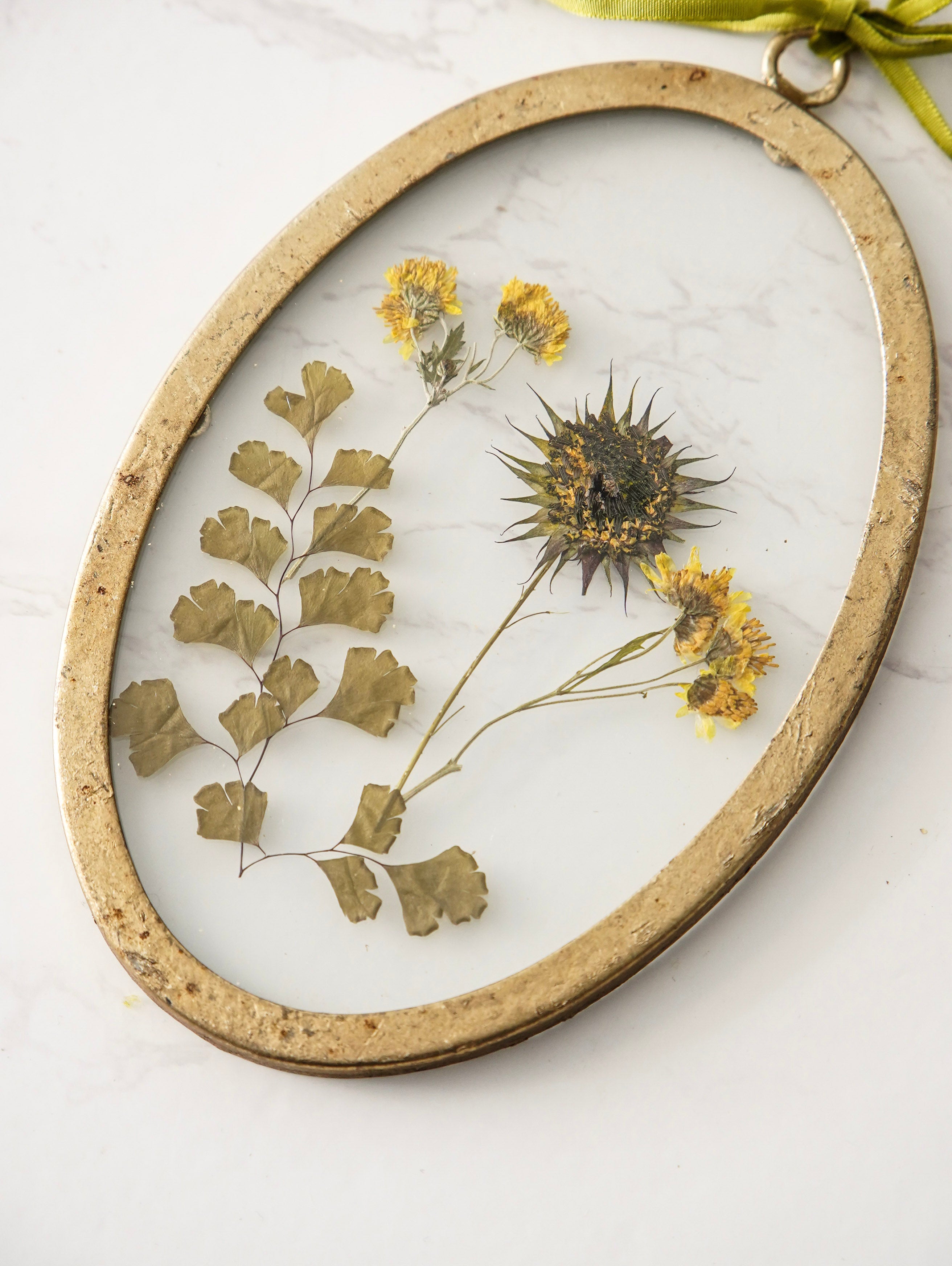 Round Pressed Botanical Glass Frame No 1