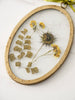 Pressed Botanical Glass Frame Set
