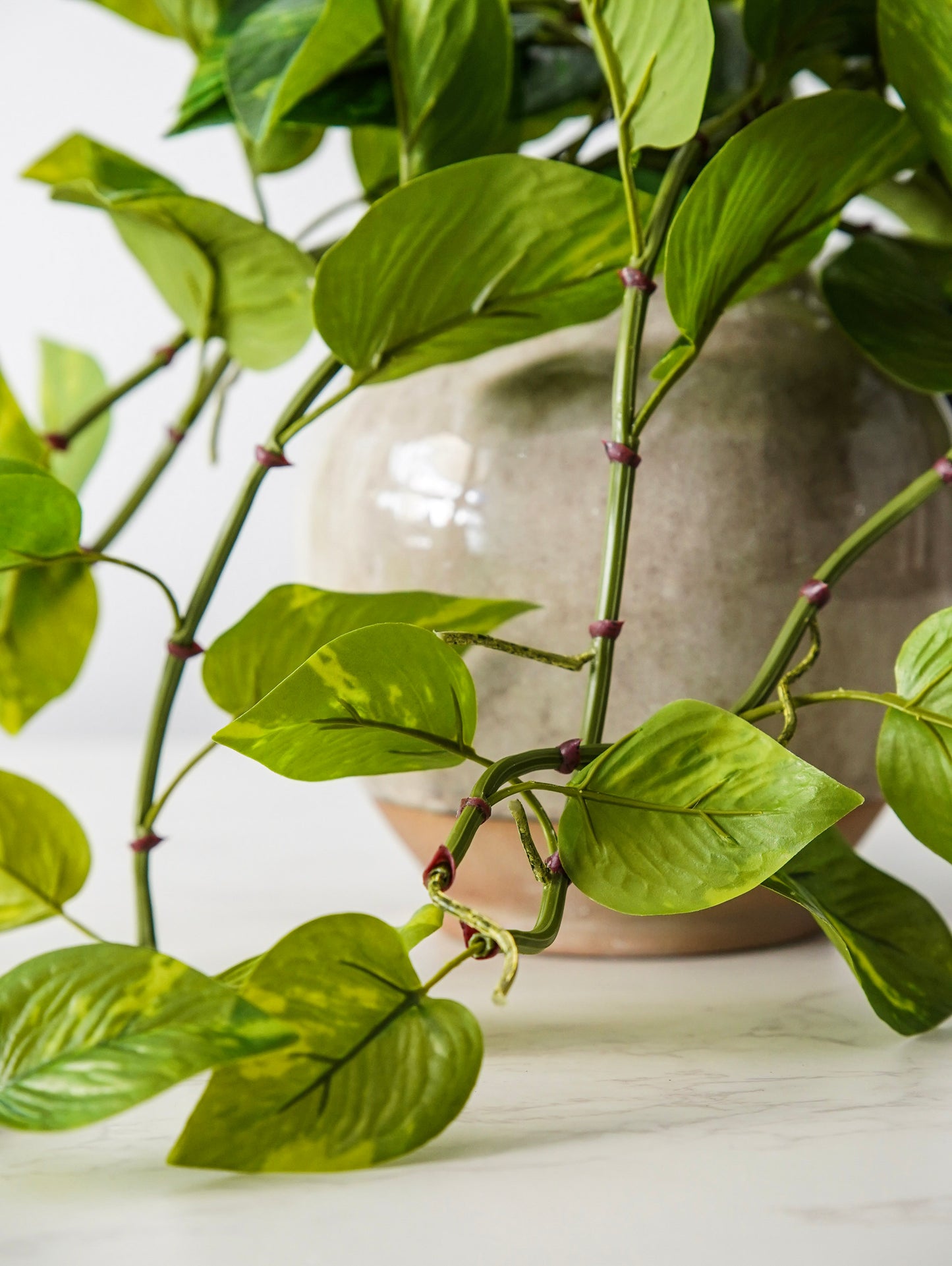 Natural Touch Pothos Pick | UV Safe