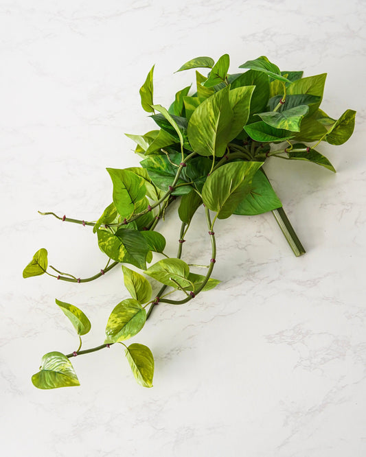 Natural Touch Pothos Pick | UV Safe
