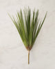 Onion Grass Pick