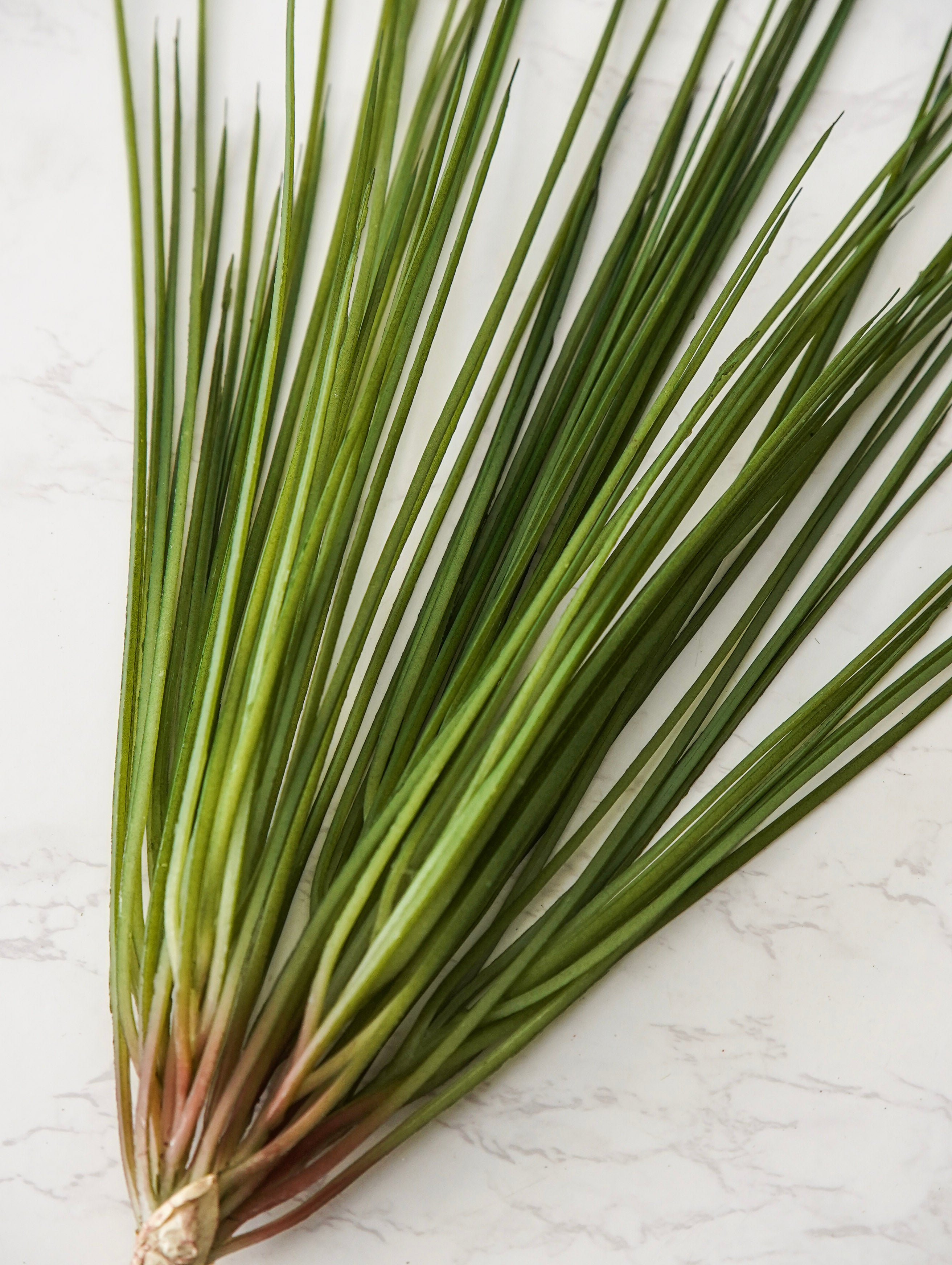 Onion Grass Pick