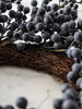 Blueberry Wreath