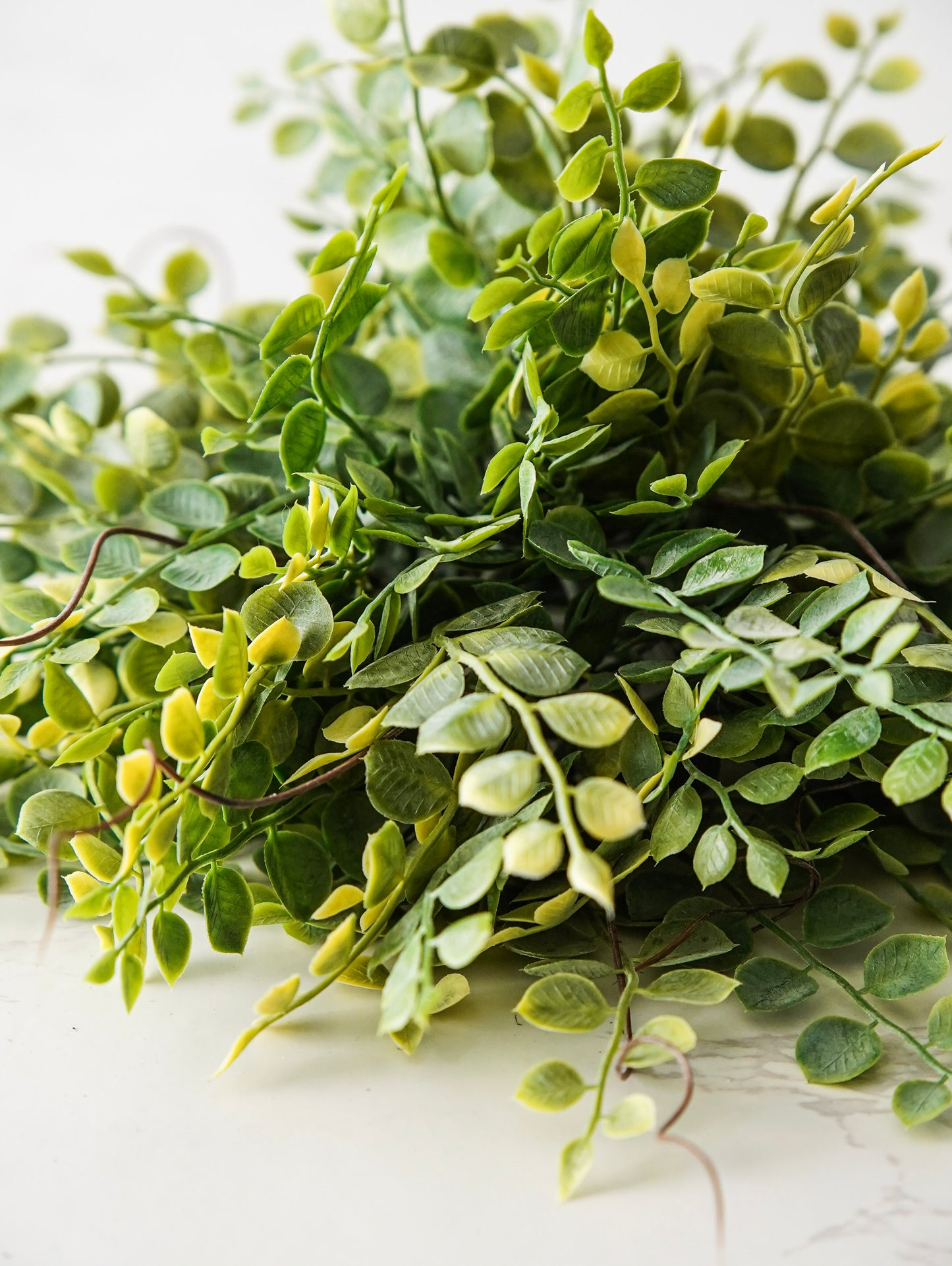 Meadow Eucalyptus Half Sphere