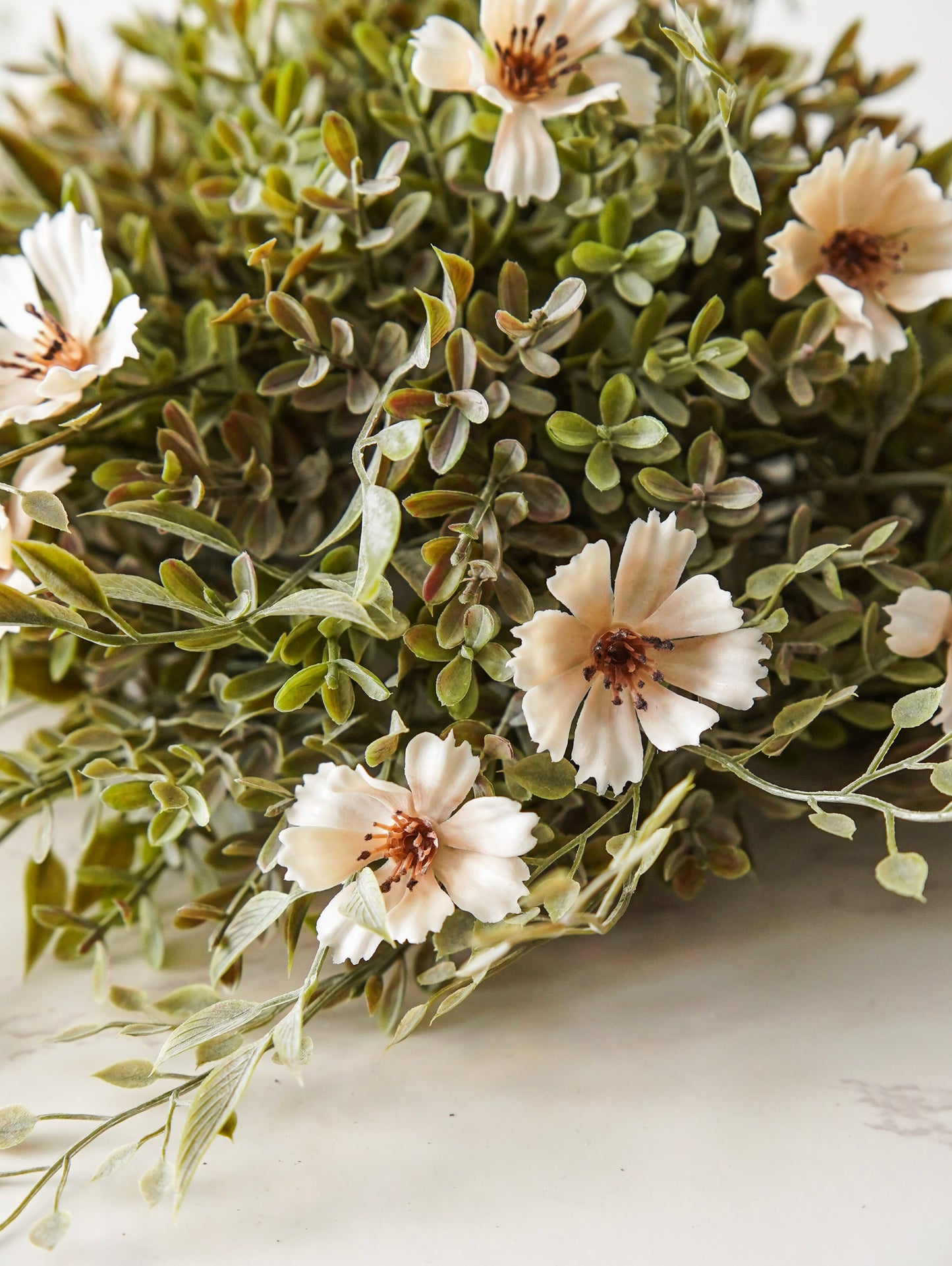 Stella Cosmo Half Sphere