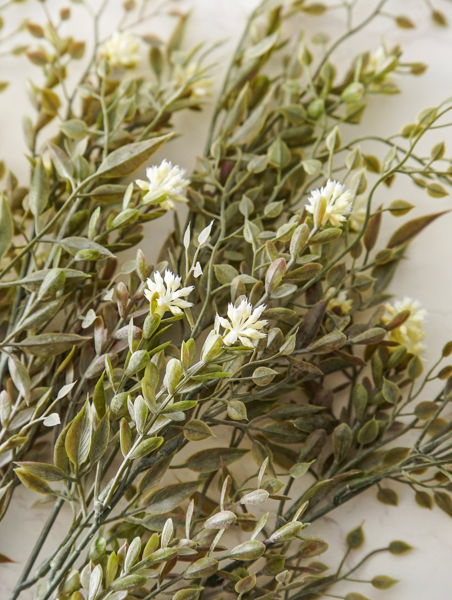 Cream Buds and Sage Bush