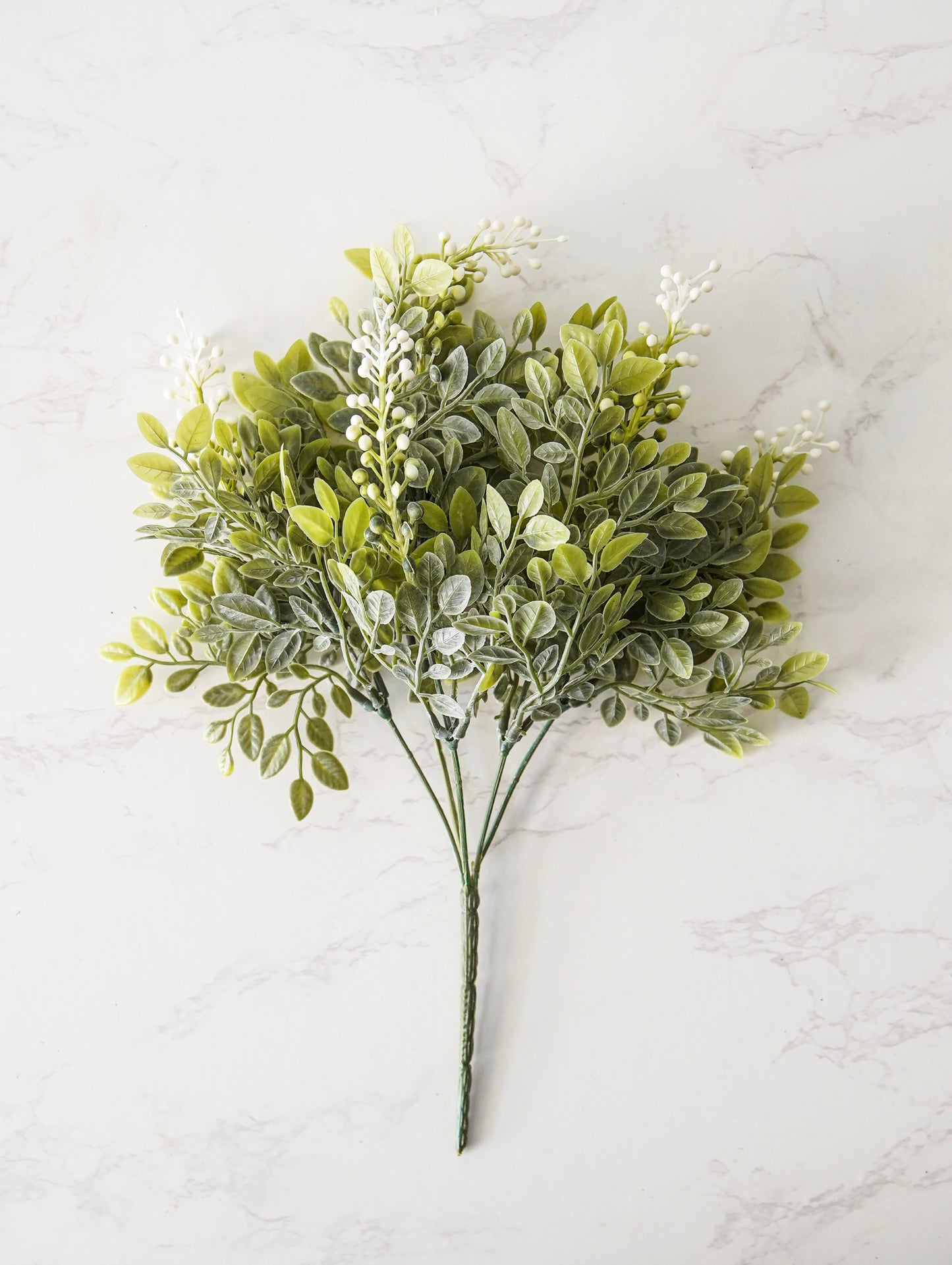 Whispering White Berry Bush