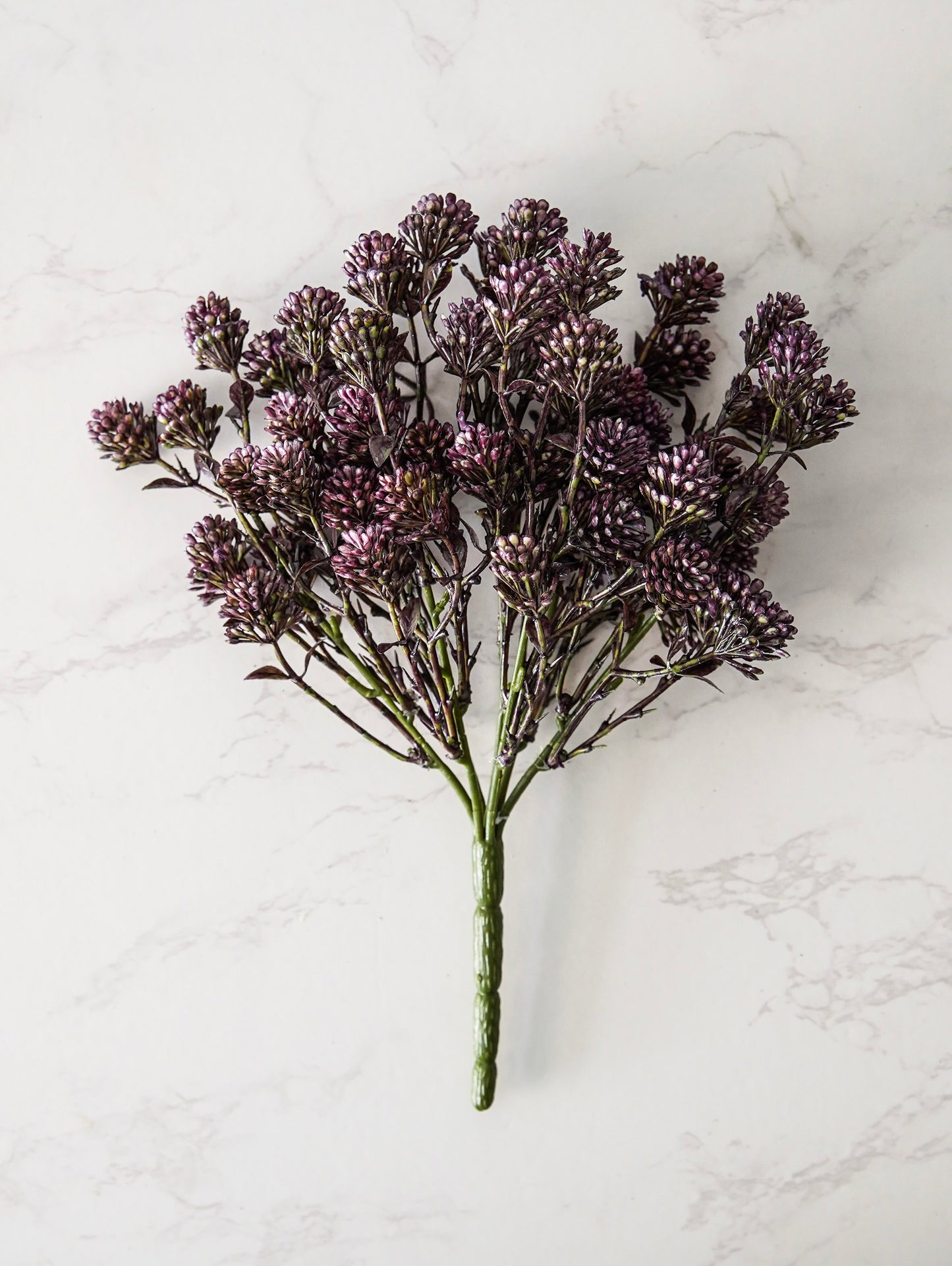 Willow Buds Bush | Purple