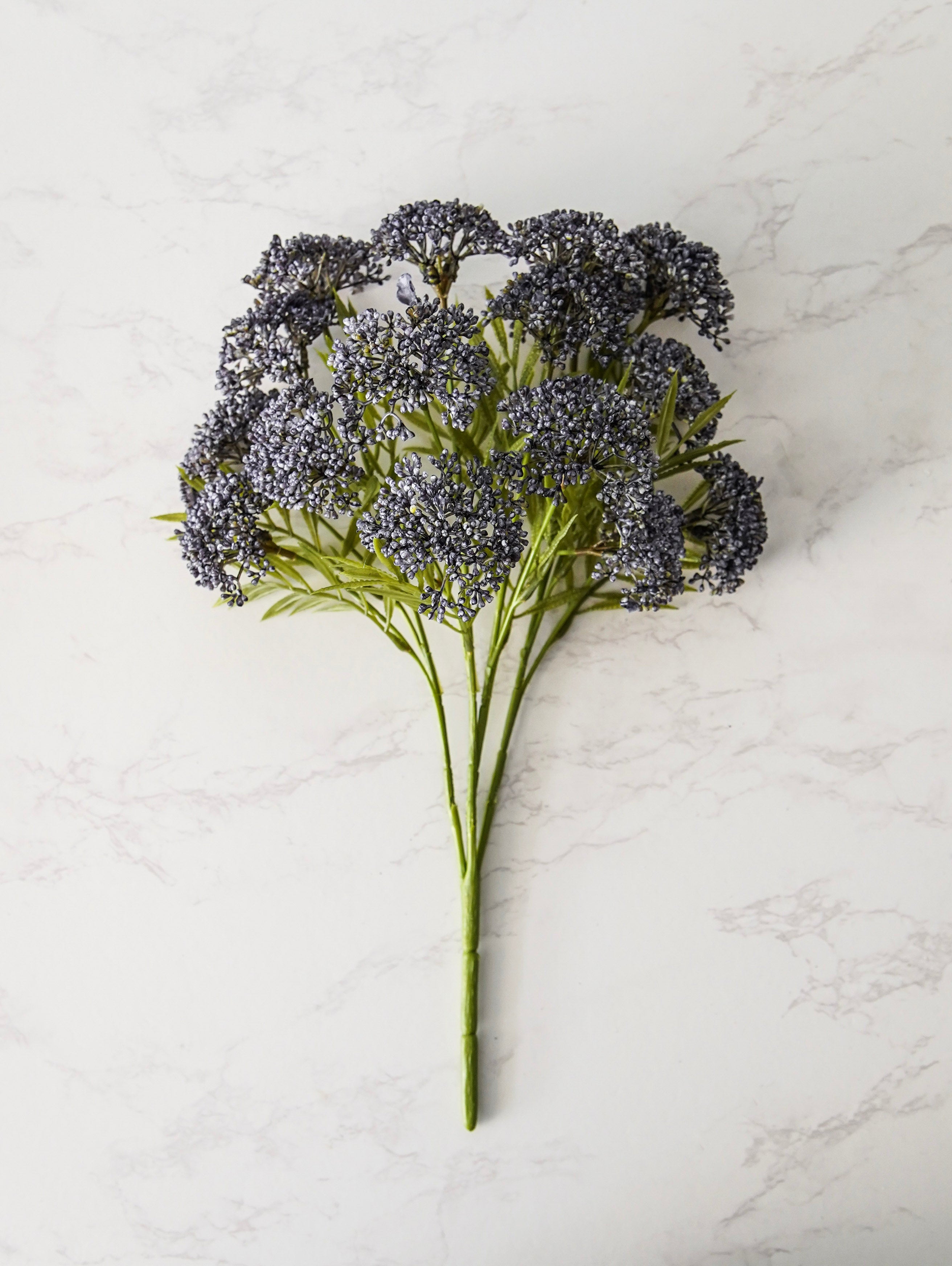 Sedum Stem | Lilac