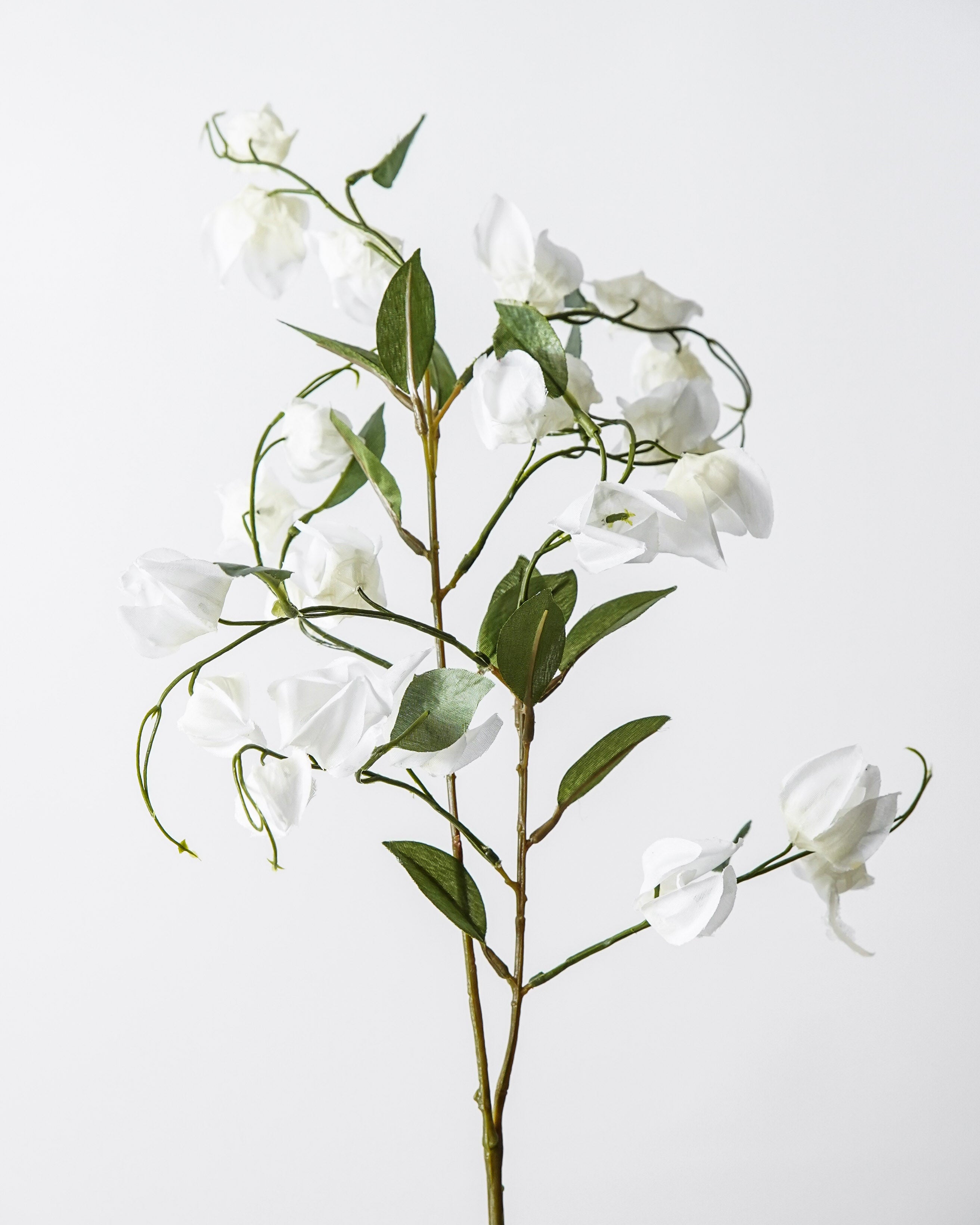 Lantern Bud Spray | White