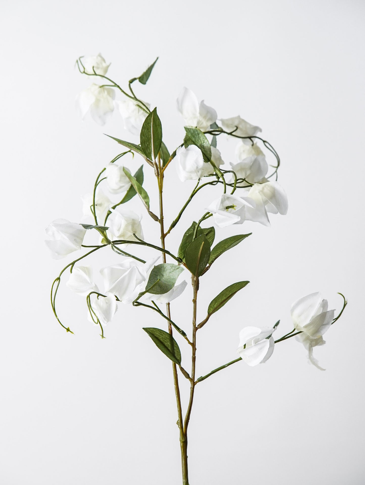 Lantern Bud Spray | White