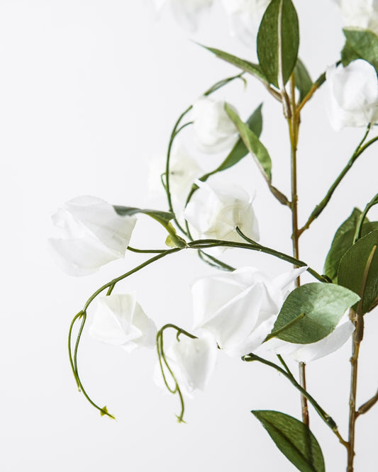 Lantern Bud Spray | White