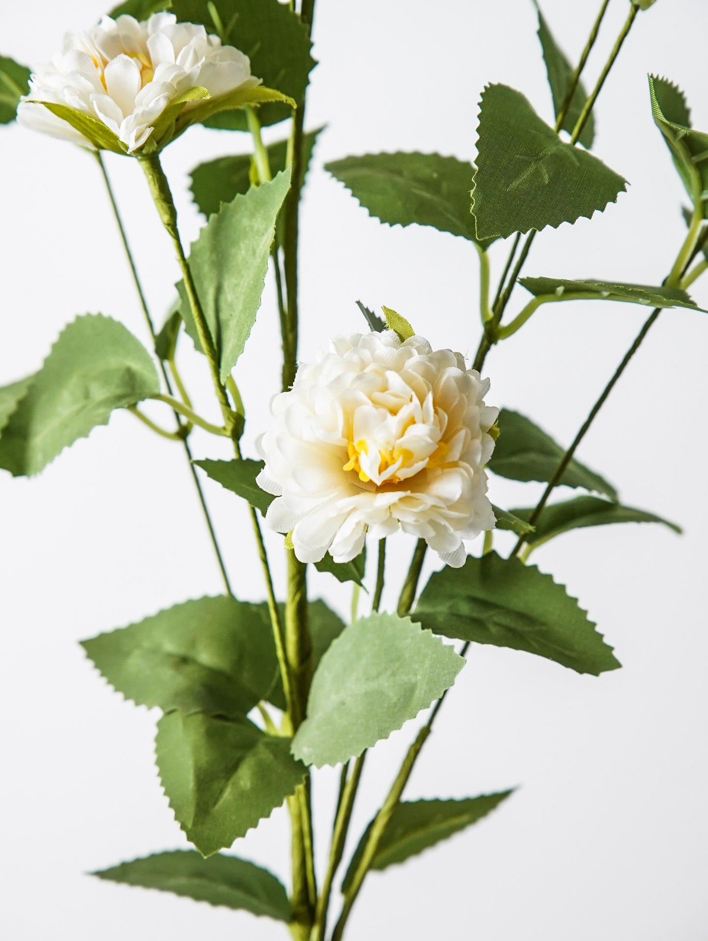 Quiet Meadow Pom Stem