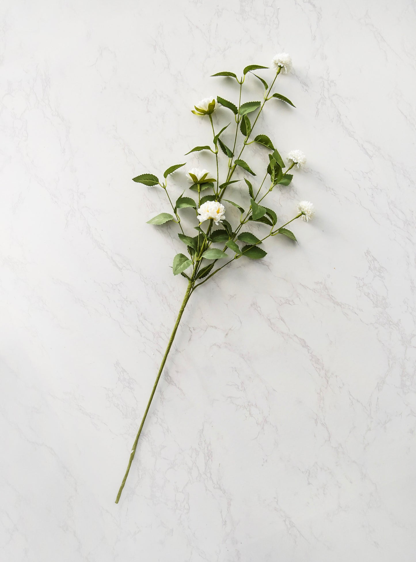 Quiet Meadow Pom Stem