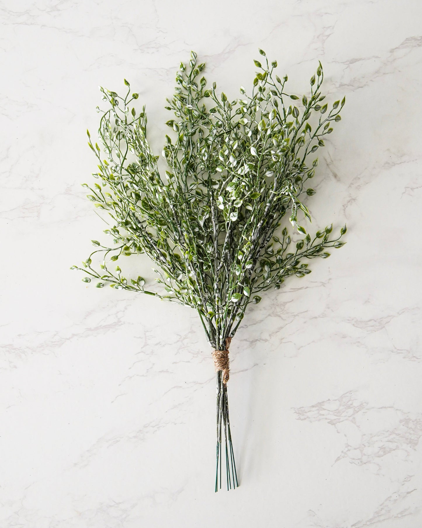 Little Nova Bush Bunch