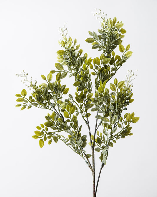 Whispering White Berry Stem