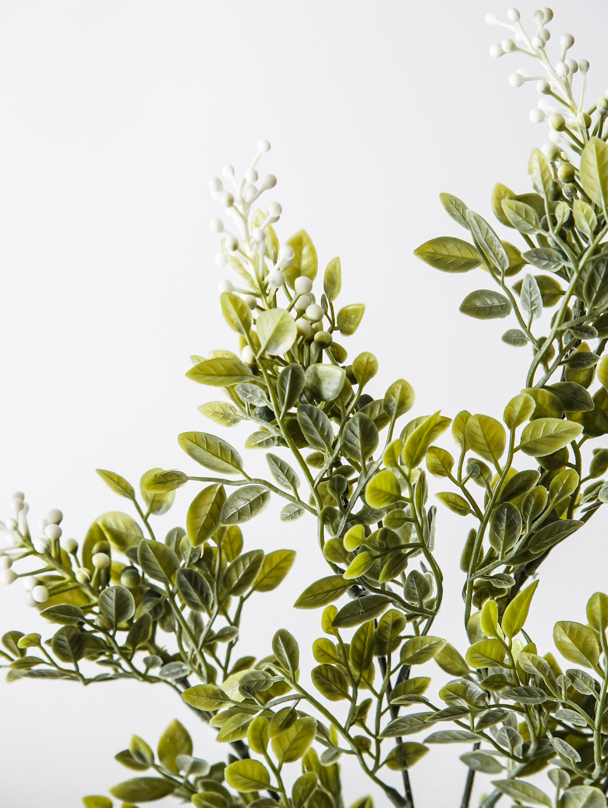 Whispering White Berry Stem