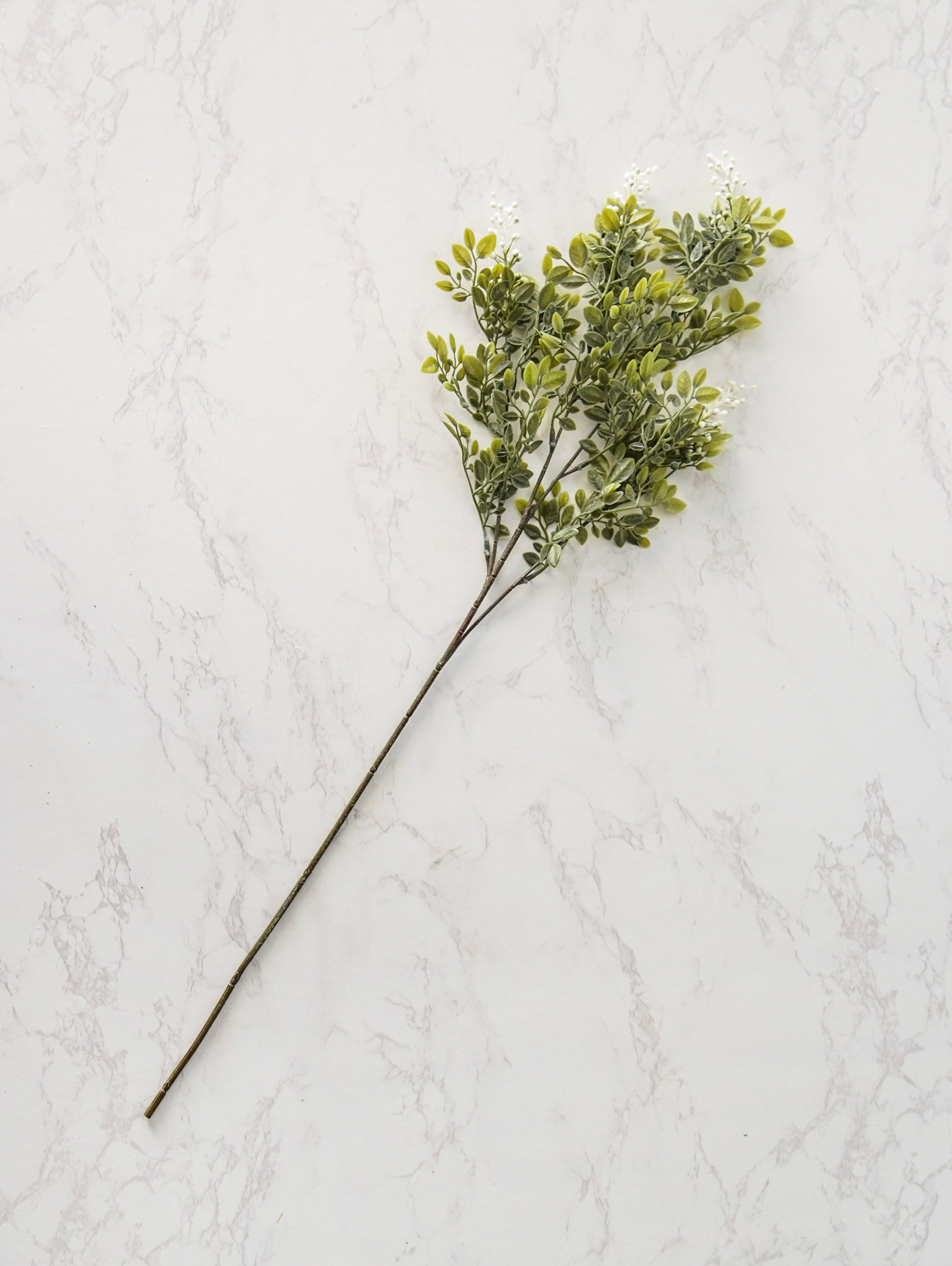 Whispering White Berry Stem