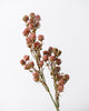 Willow Buds Spray | Pink