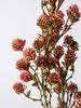 Willow Buds Spray | Pink
