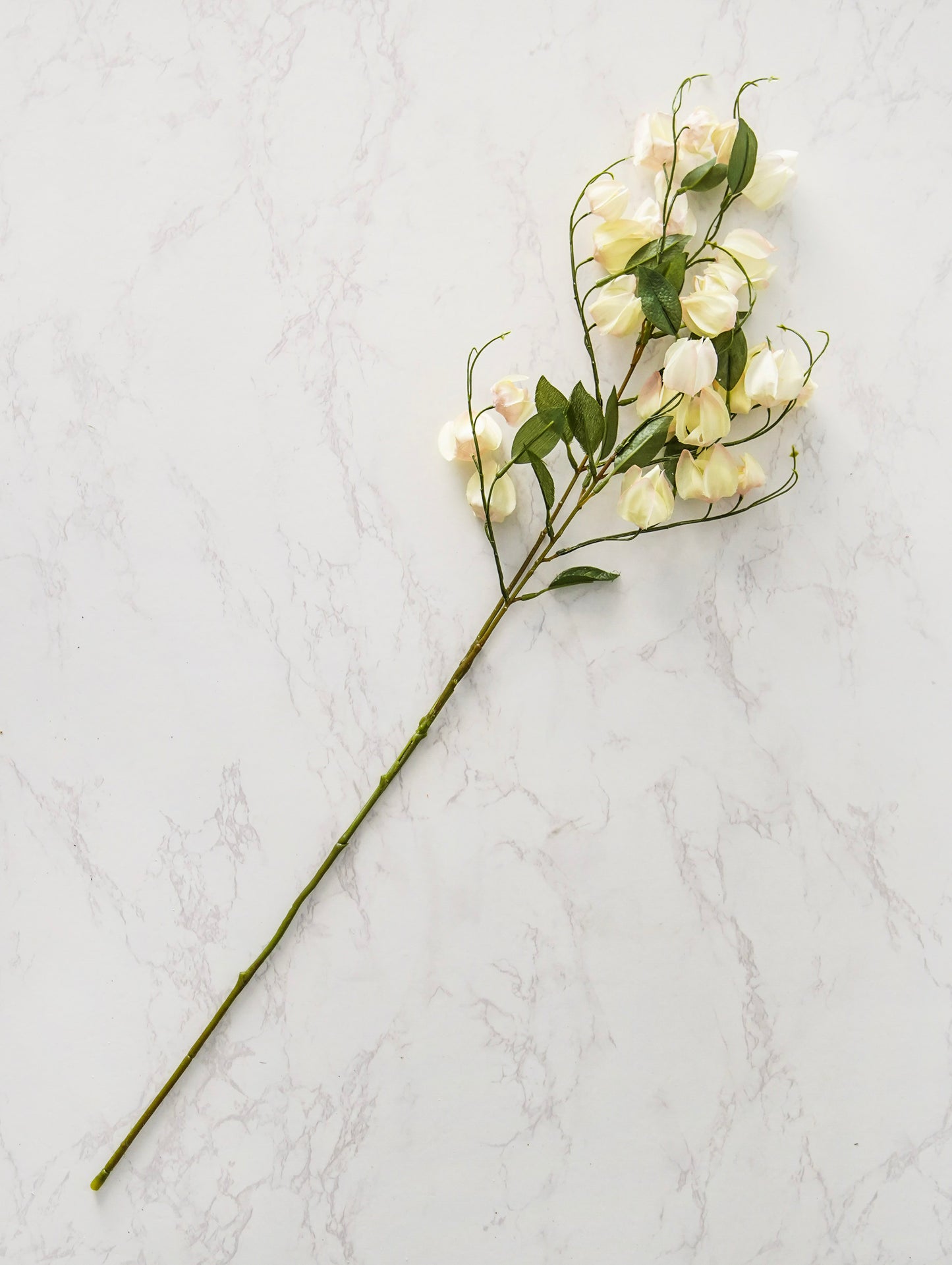 Lantern Bud Spray | Ombre