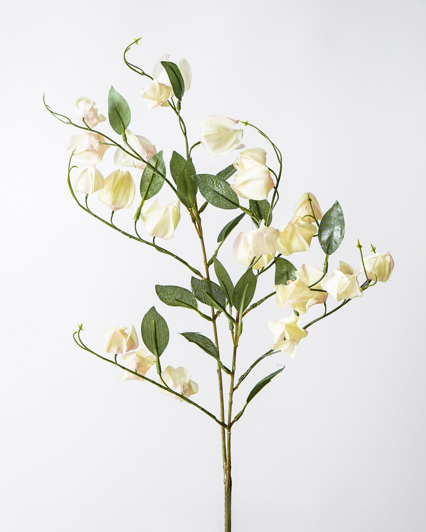 Lantern Bud Spray | Ombre