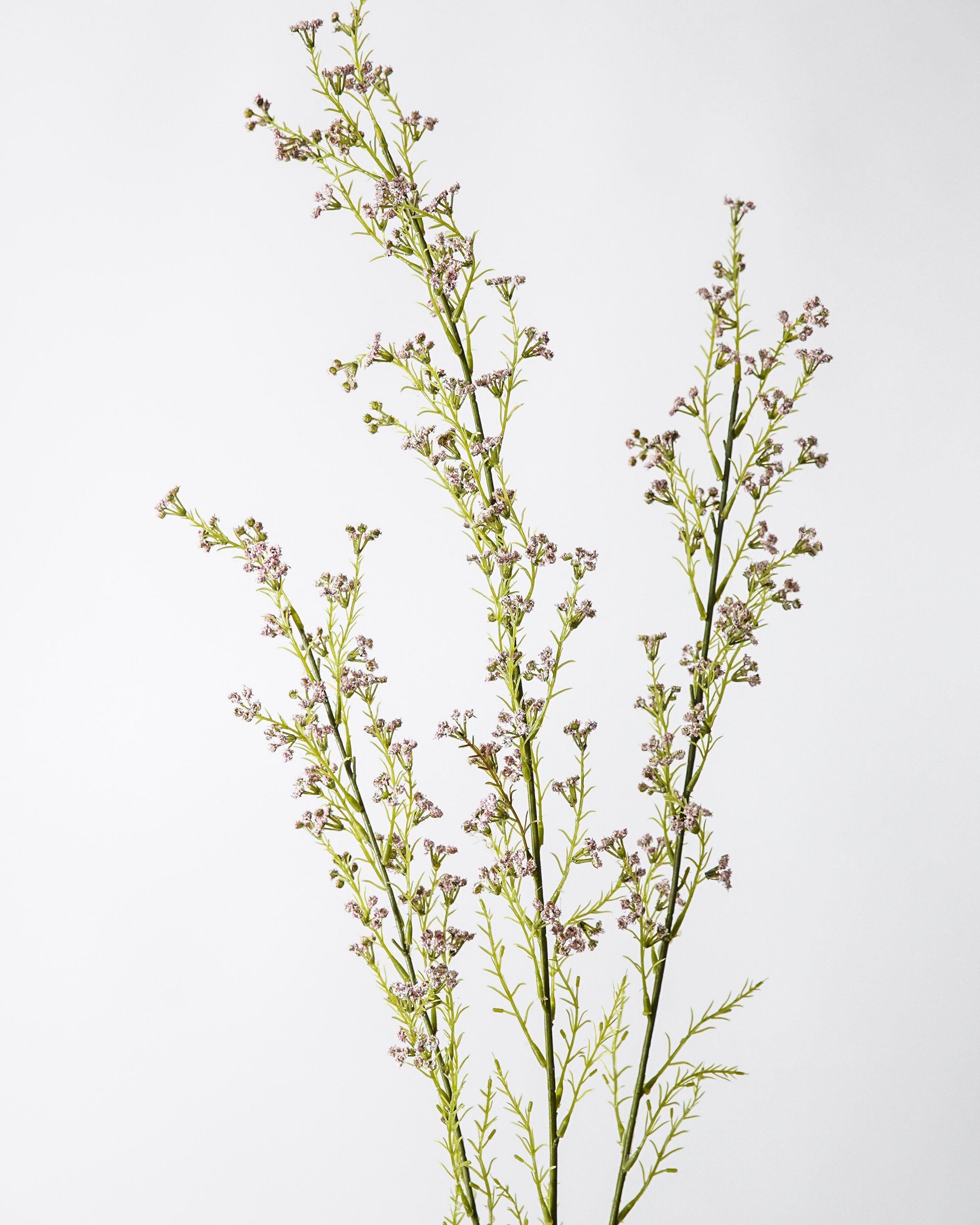 Blush Berry Tall Branch