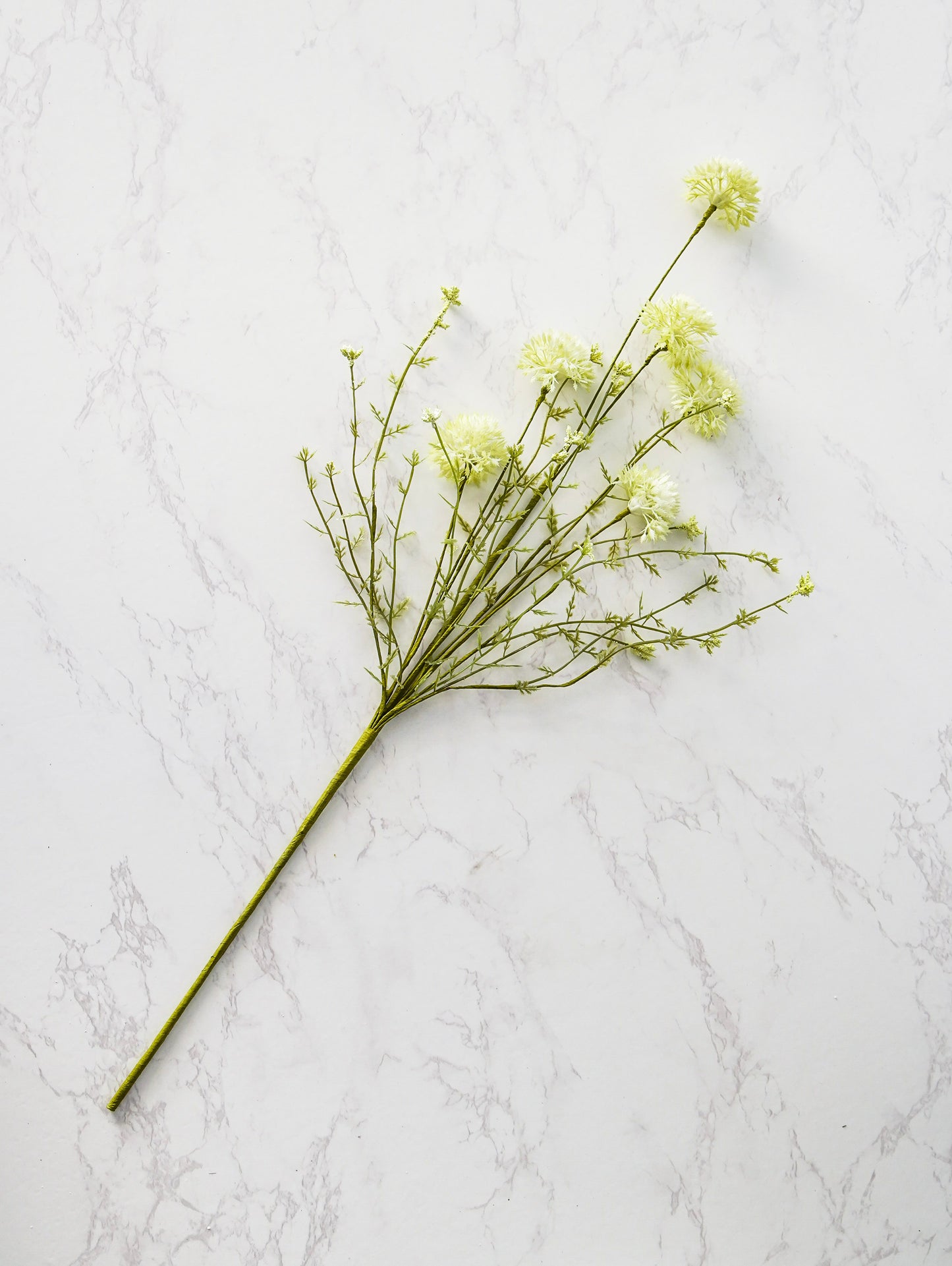 Green Dandelion Spray