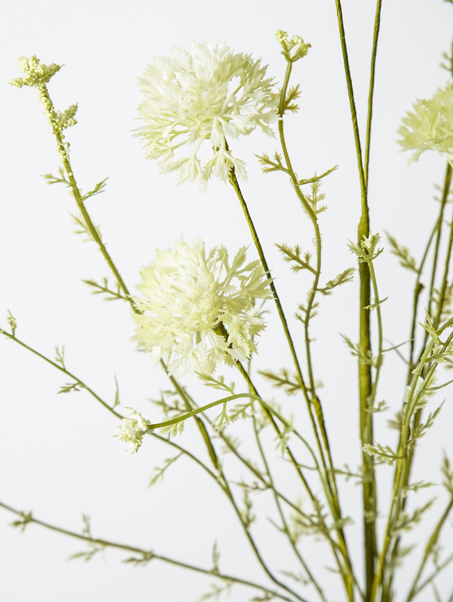 Green Dandelion Spray