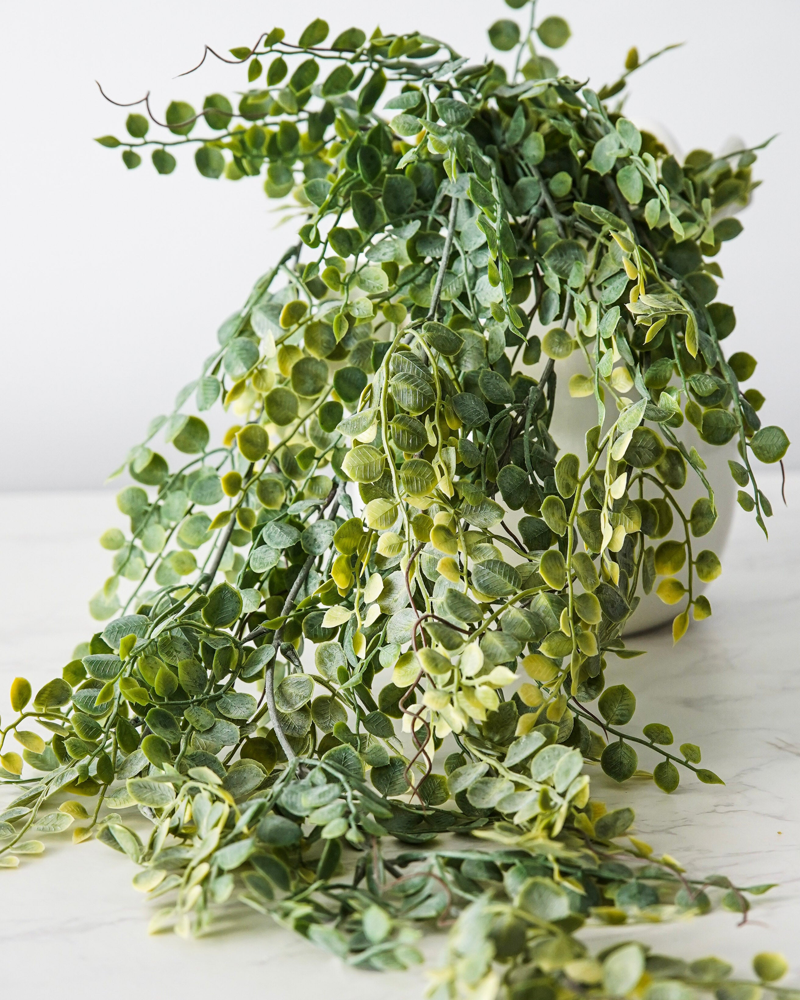 Meadow Eucalyptus Hanging Stem