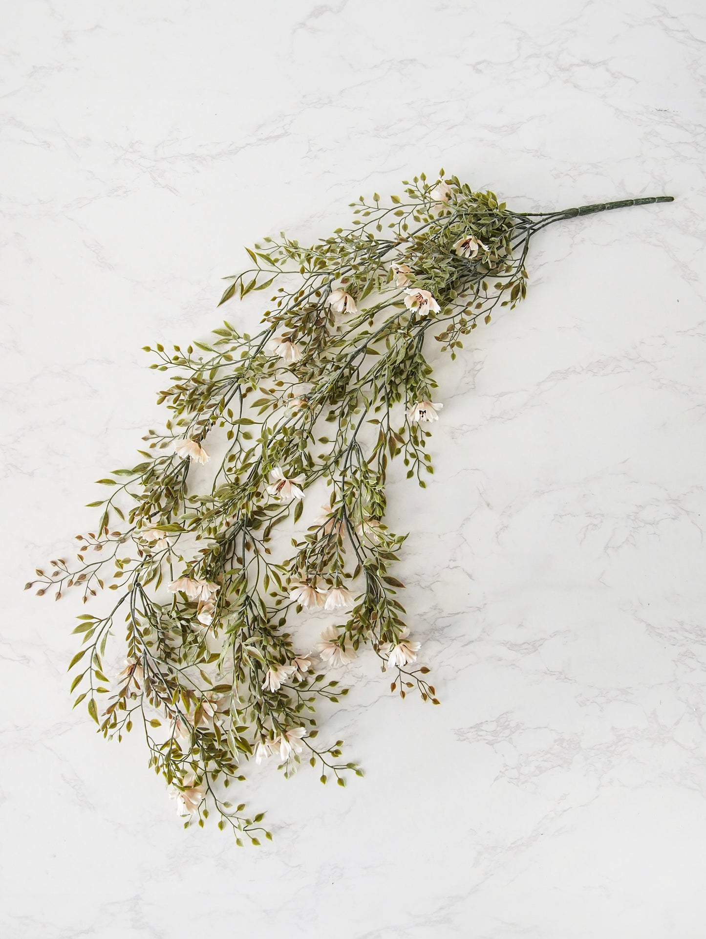 Stella Cosmo Hanging Stem