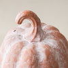 Whitewashed Terracotta Pumpkin