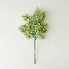 Artificial greenery branch on a plain background