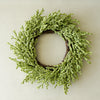 Green wreath on a plain wall