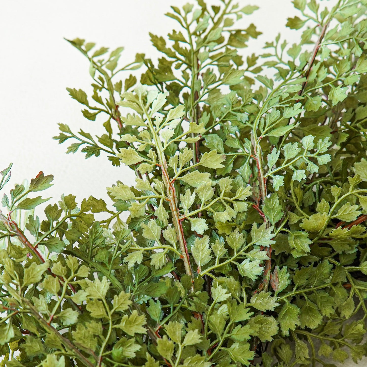 Styled Look: Heirloom Spring