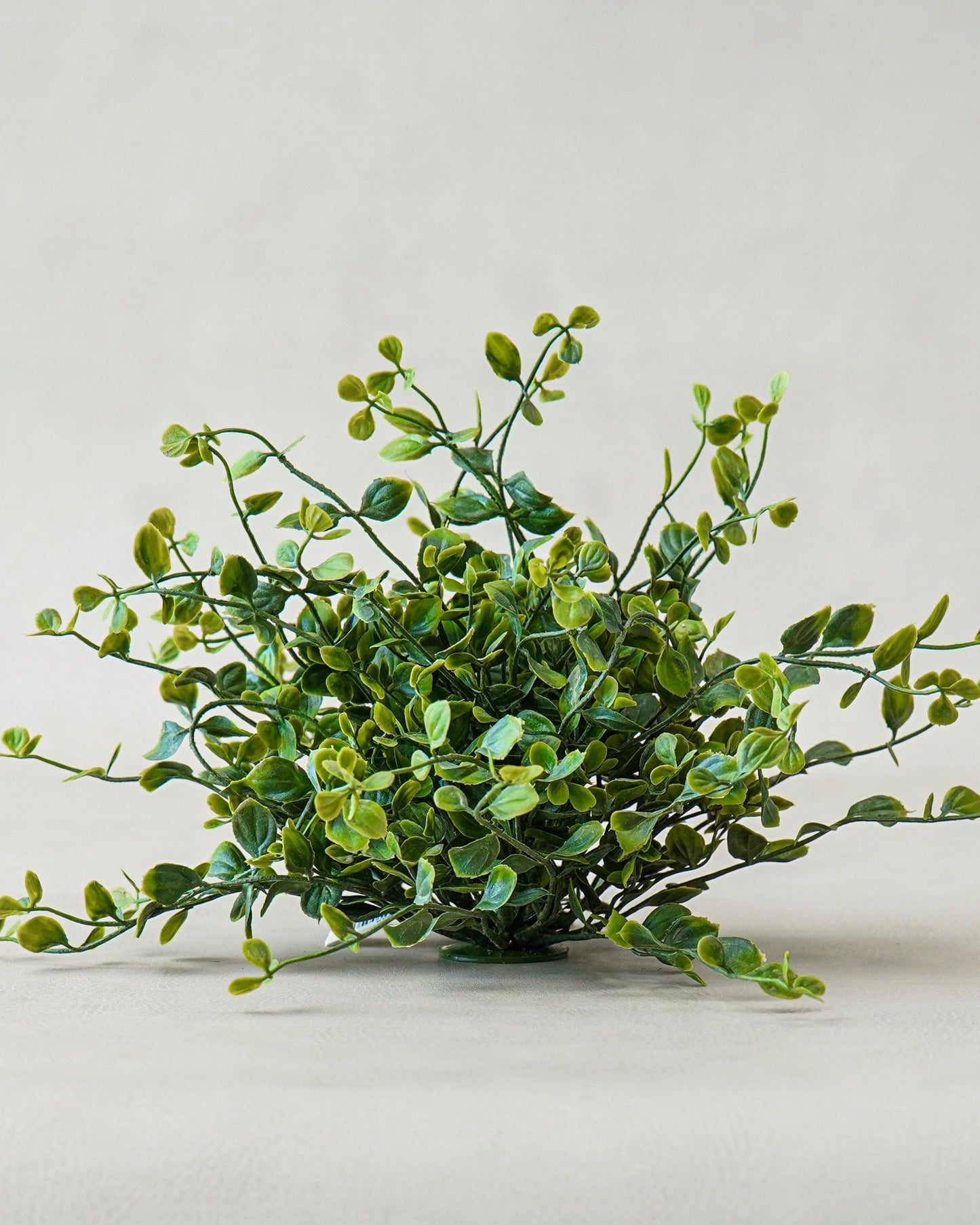 Styled Look: Sculpted Neutrals with Organic Texture