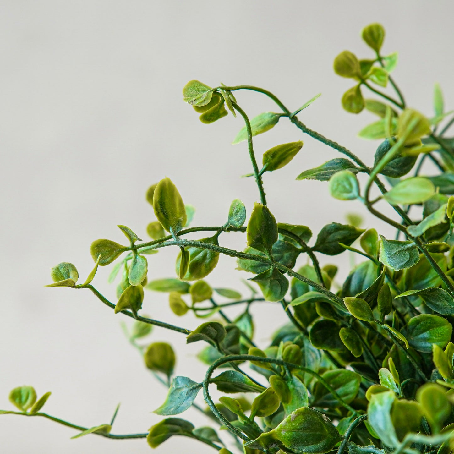 Whisperleaf Half Sphere