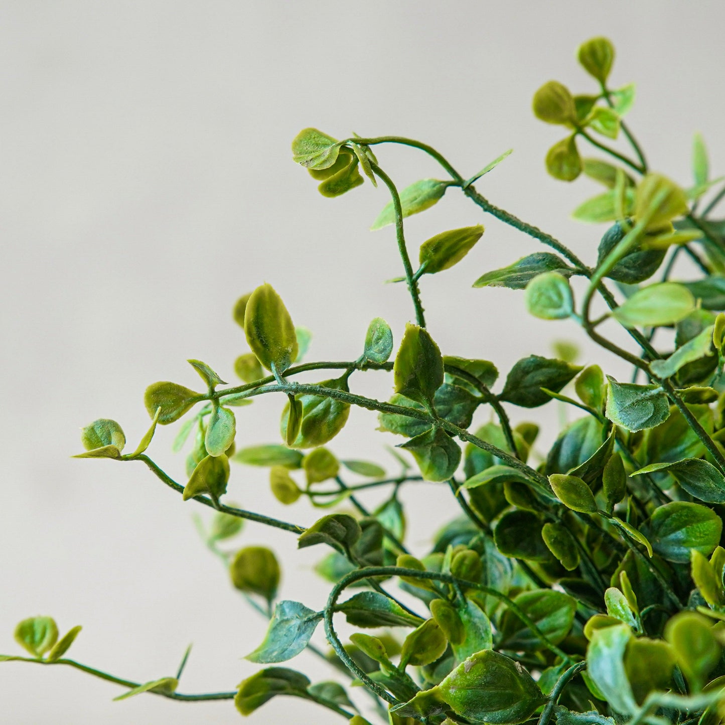 Styled Look: Sculpted Neutrals with Organic Texture