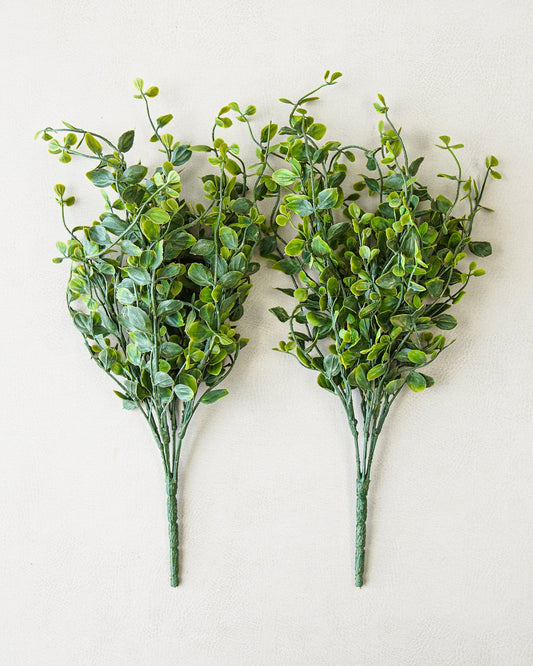 Whisperleaf Bush Bundle | Two Stems