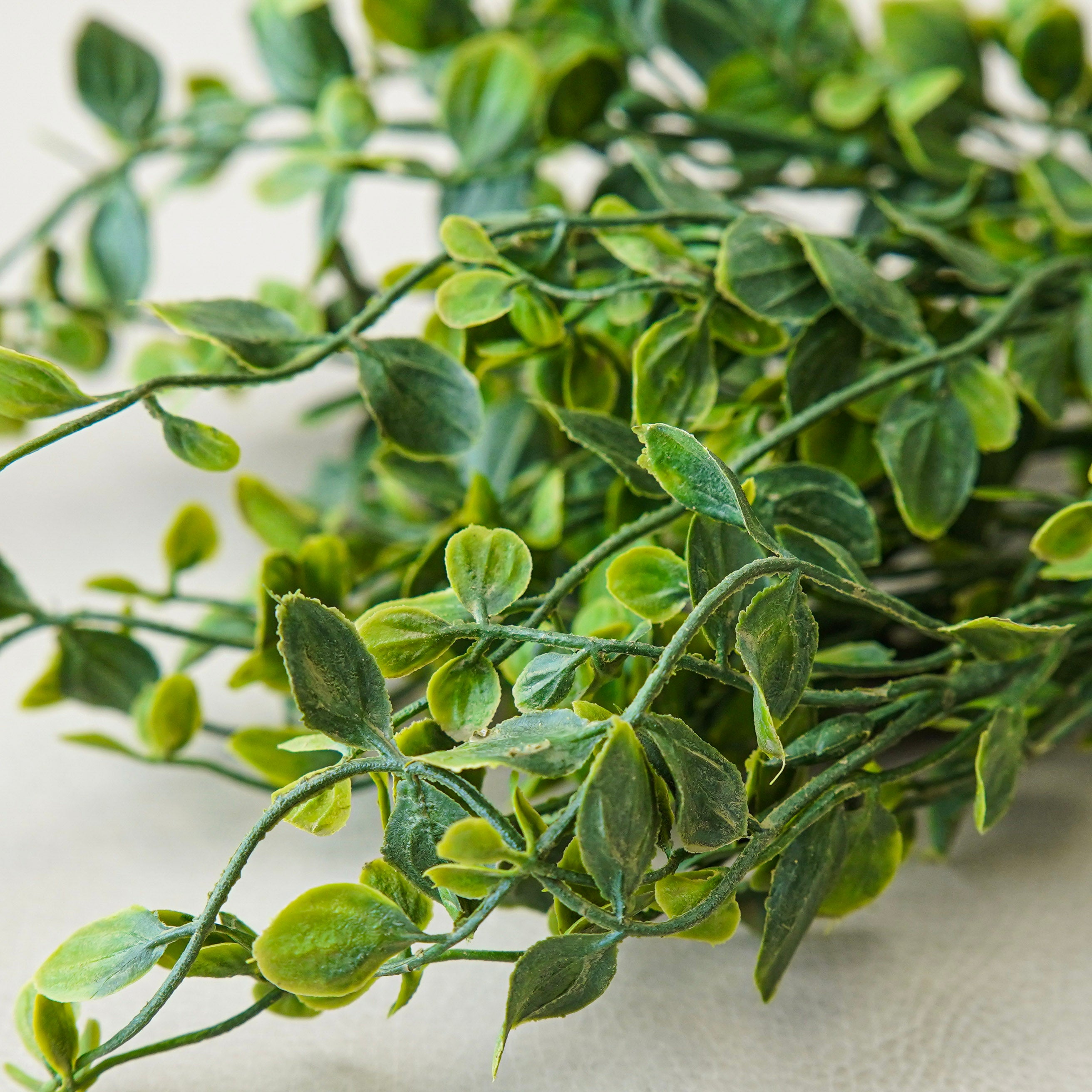 Whisperleaf Bush Bundle | Two Stems