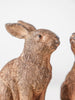 Woodland Rabbit Duo
