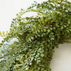 Amara Hanging Fern Wreath