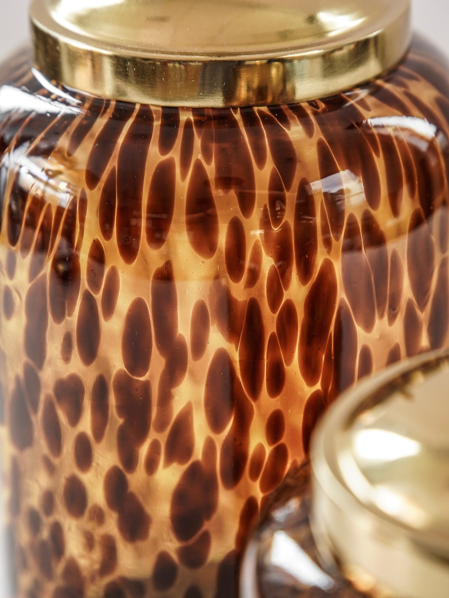 Amber Tortoise Glass Canister